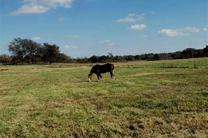 Escorts Horse Pasture, United States — Local Companions