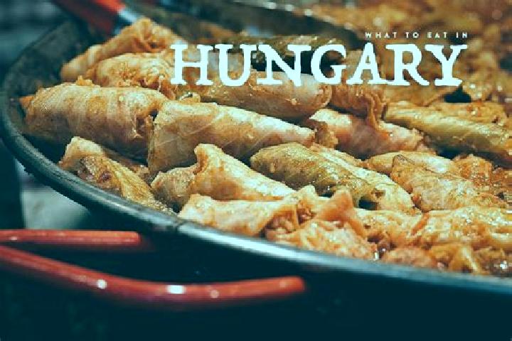 Escorts Hortobagy, Hungary — Local Companions