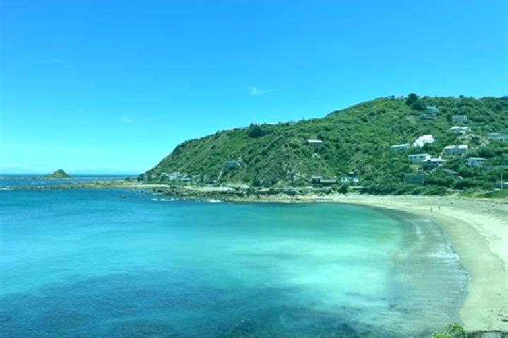 Escorts Houghton Bay, New Zealand — Local Companions