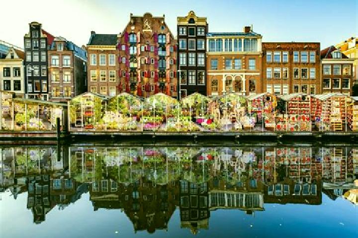Escorts Houthem, Netherlands — Local Companions