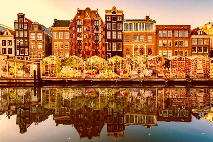 Escorts Hulst, Netherlands — Local Companions
