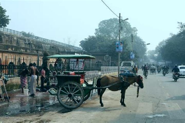 Escorts Husainabad, India — Local Companions