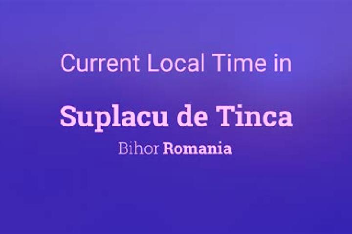 Escorts Husasau de Tinca, Romania — Local Companions