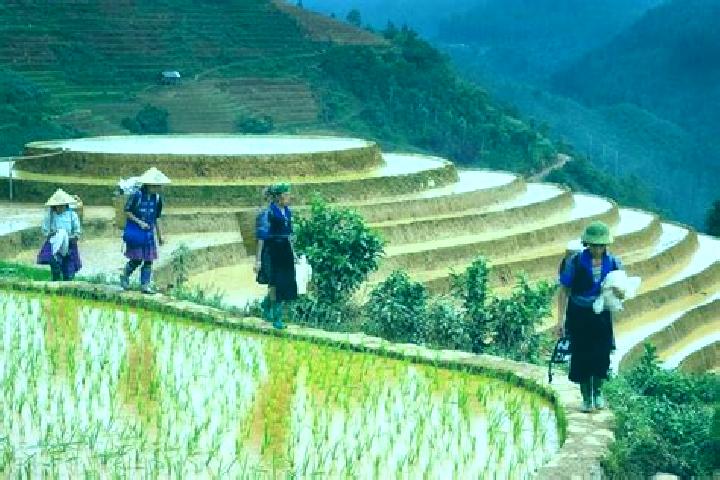 Escorts Huu Lung, Vietnam — Local Companions