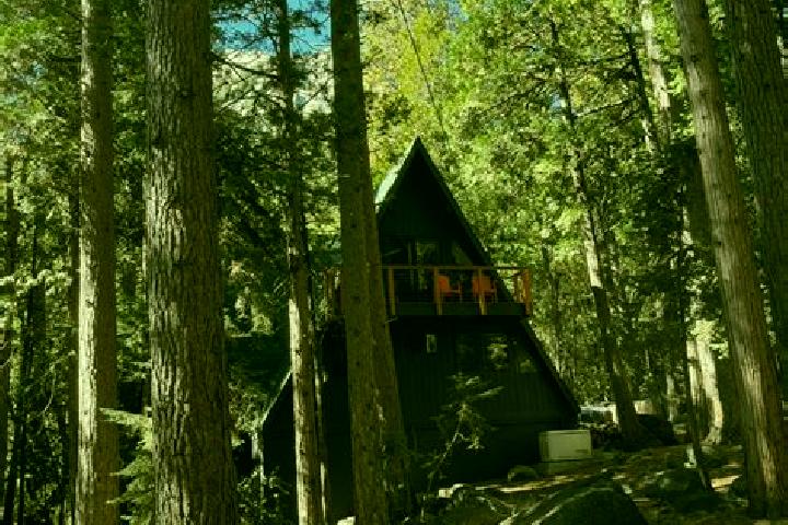Escorts Idyllwild-Pine Cove, United States — Local Companions