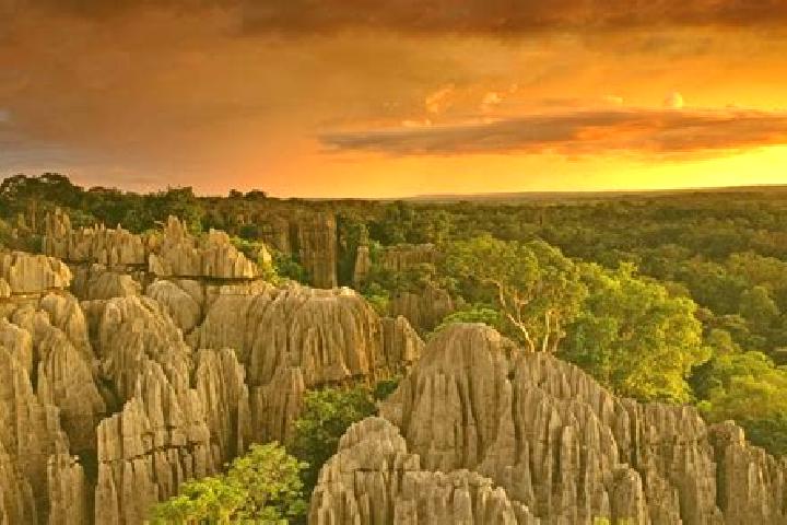 Escorts Iharana, Madagascar — Local Companions
