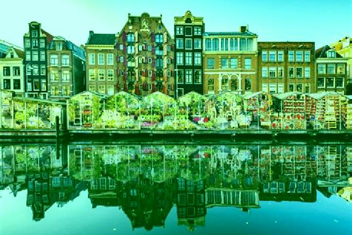 Escorts IJmuiden, Netherlands — Local Companions