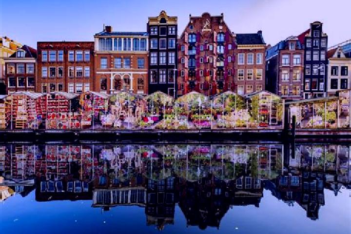 Escorts IJzendijke, Netherlands — Local Companions