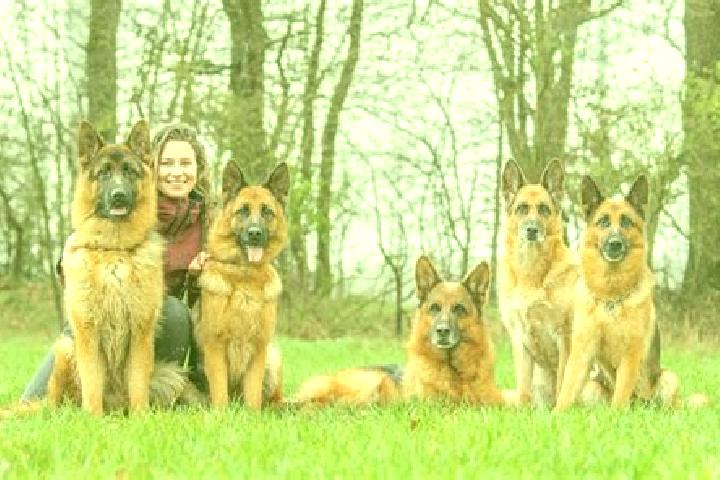 Escorts Immekath, Germany — Local Companions
