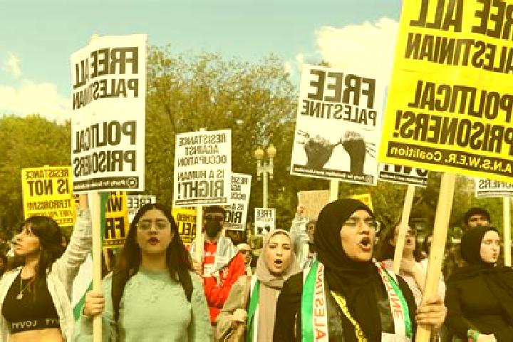 Escorts Imrish, Palestine — Local Companions
