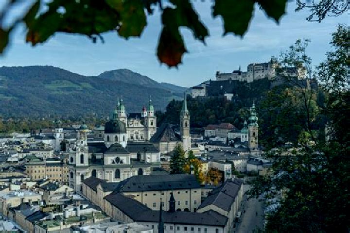 Escorts in Austria — City Directory — Page 31