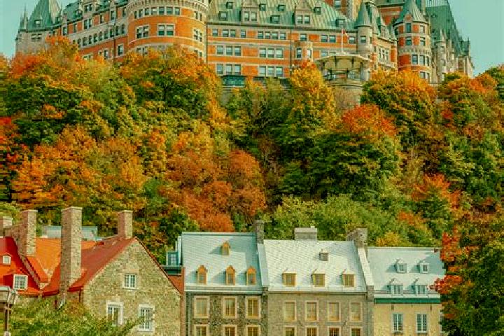 Escorts in Canada — City Directory — Page 48
