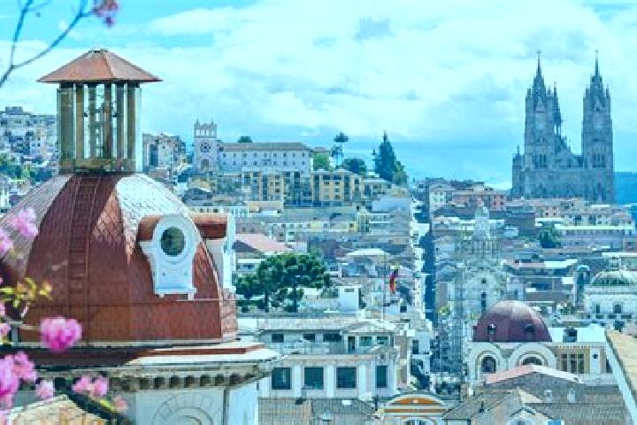 Escorts in Ecuador — City Directory — Page 6