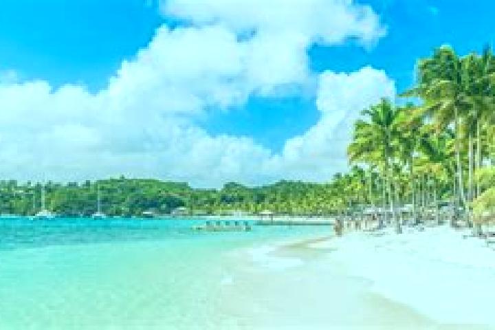 Escorts in Guadeloupe — City Directory
