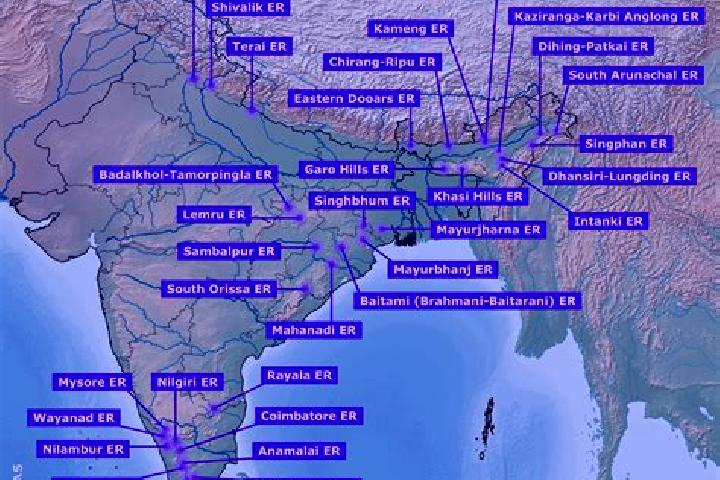 Escorts in India — City Directory — Page 12