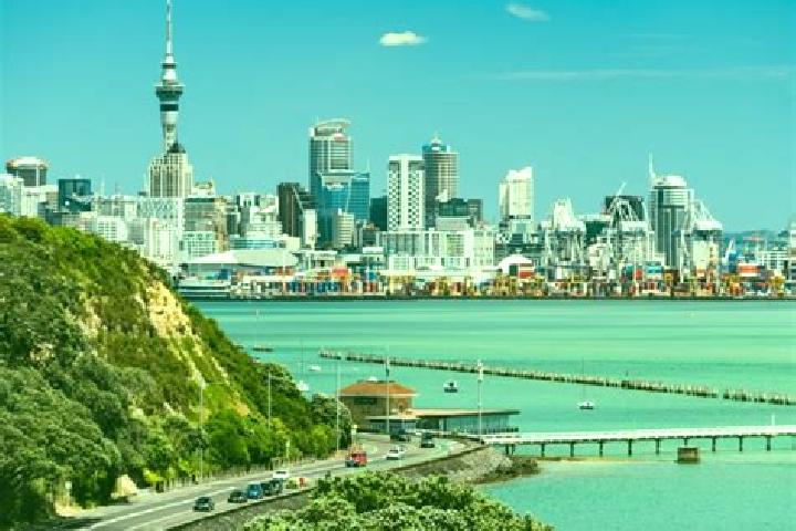 Escorts in New Zealand — City Directory — Page 12