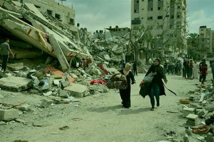 Escorts in Palestine — City Directory