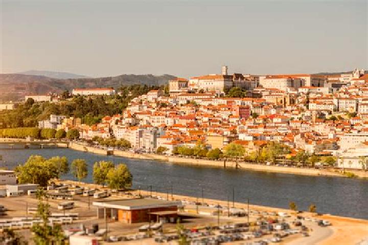 Escorts in Portugal — City Directory — Page 16
