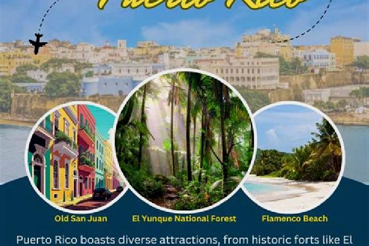 Escorts in Puerto Rico — City Directory