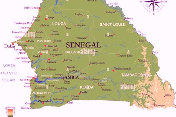 Escorts in Senegal — City Directory — Page 4