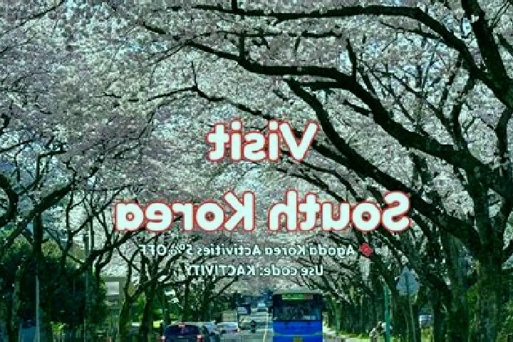 Escorts in South Korea — City Directory