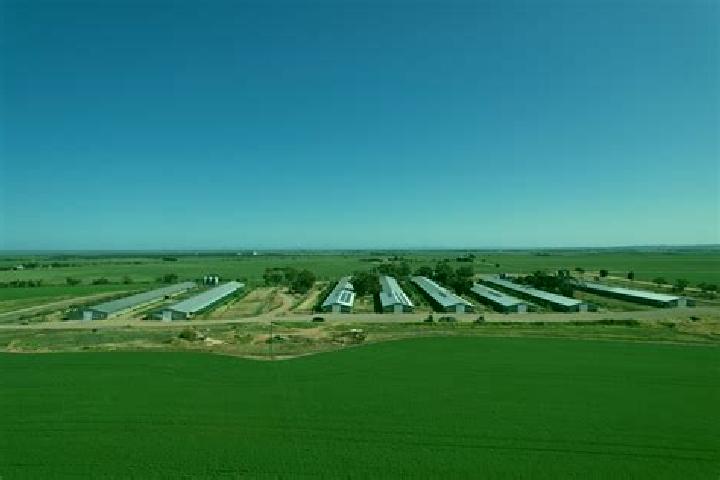 Escorts Ingle Farm, Australia — Local Companions