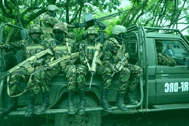 Escorts Inongo, DR Congo — Local Companions