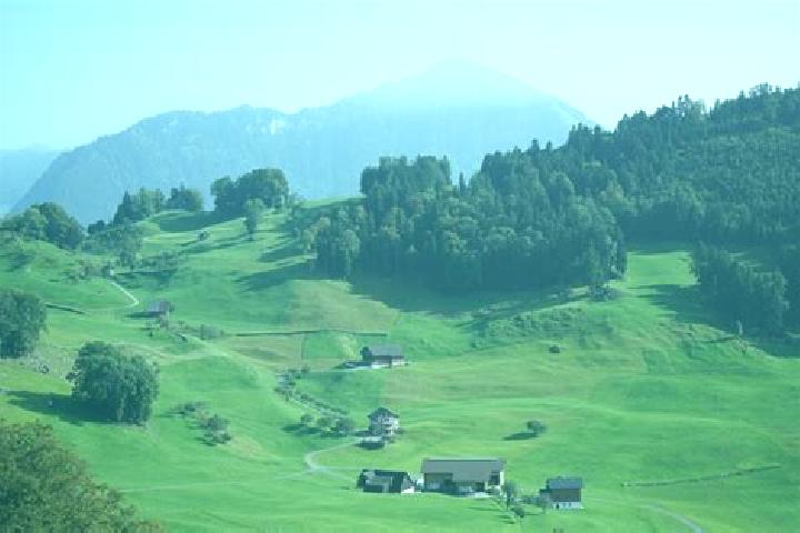Escorts Ins, Switzerland — Local Companions