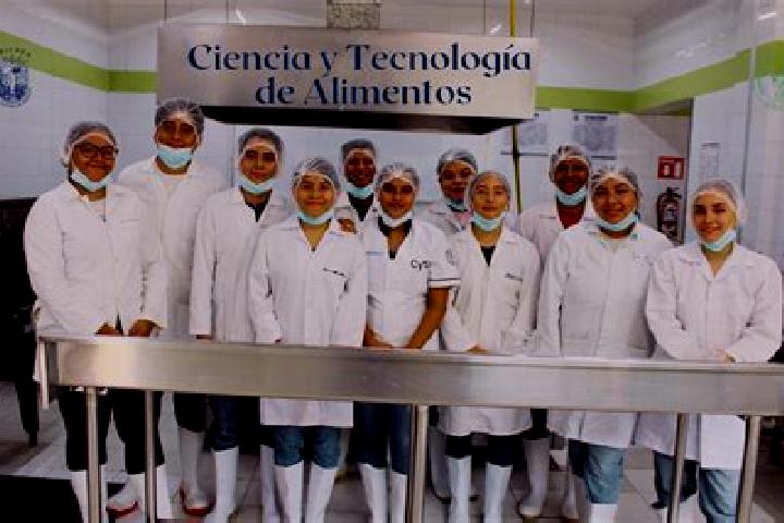 Escorts Instituto de Biociencias, Brazil — Local Companions