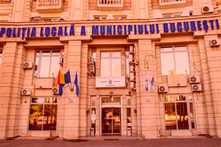 Escorts Intregalde, Romania — Local Companions