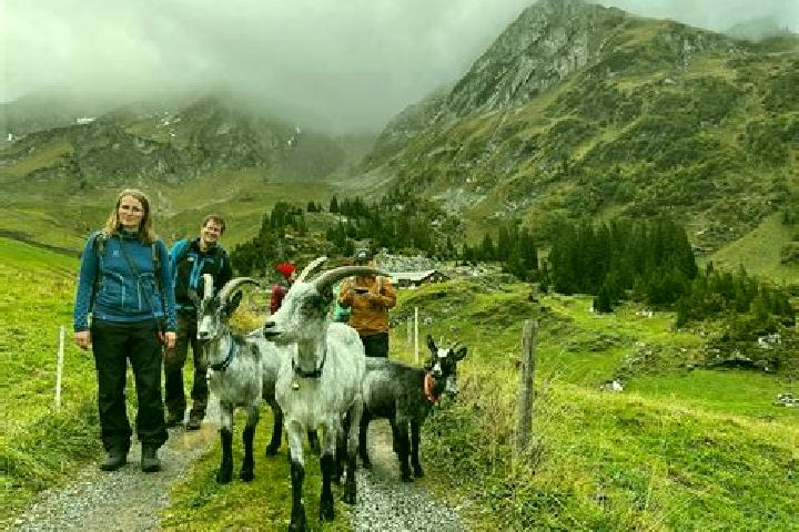 Escorts Isenthal, Switzerland — Local Companions