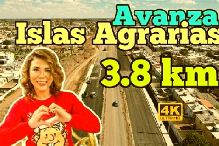 Escorts Islas Agrarias Grupo A, Mexico — Local Companions