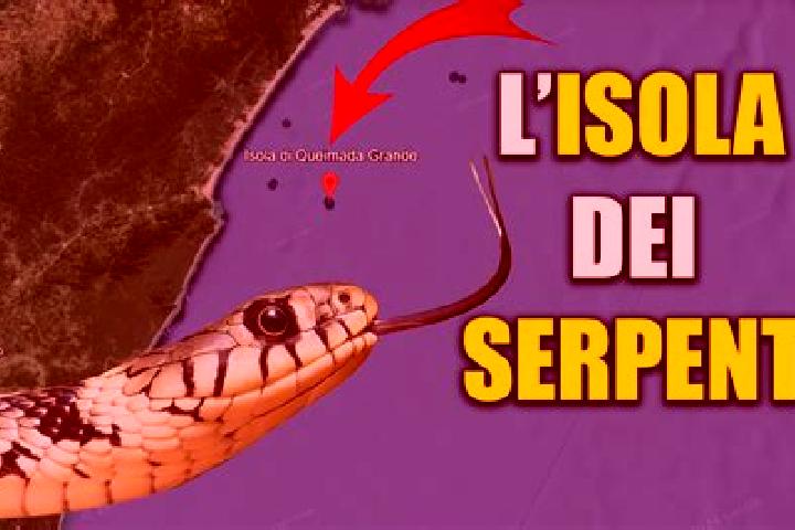 Escorts Isola d Asti, Italy — Local Companions