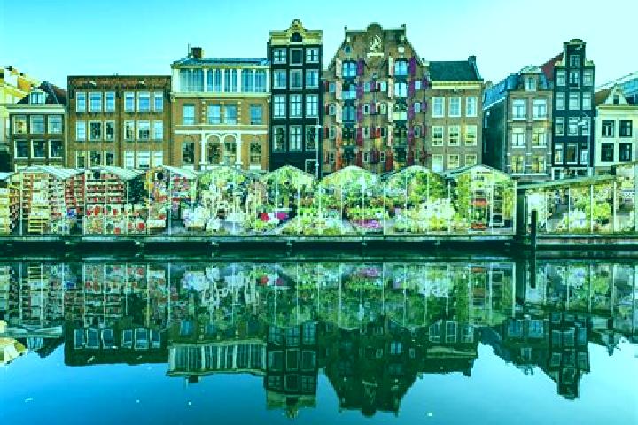 Escorts Itteren, Netherlands — Local Companions