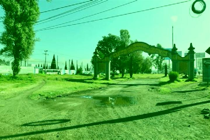 Escorts J. Jesus Gonzalez Ortega (San Mateo), Mexico — Local Companions