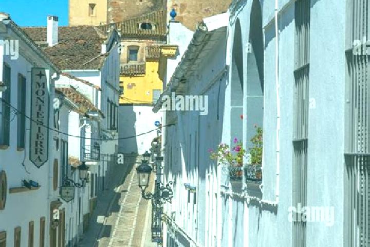 Escorts Jabugo, Spain — Local Companions
