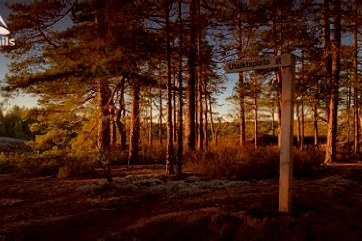Escorts Jaernforsen, Sweden — Local Companions