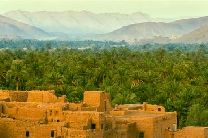 Escorts Jamaat Shaim, Morocco — Local Companions