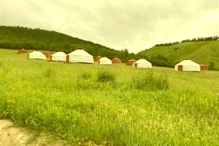 Escorts Jargalant, Mongolia — Local Companions