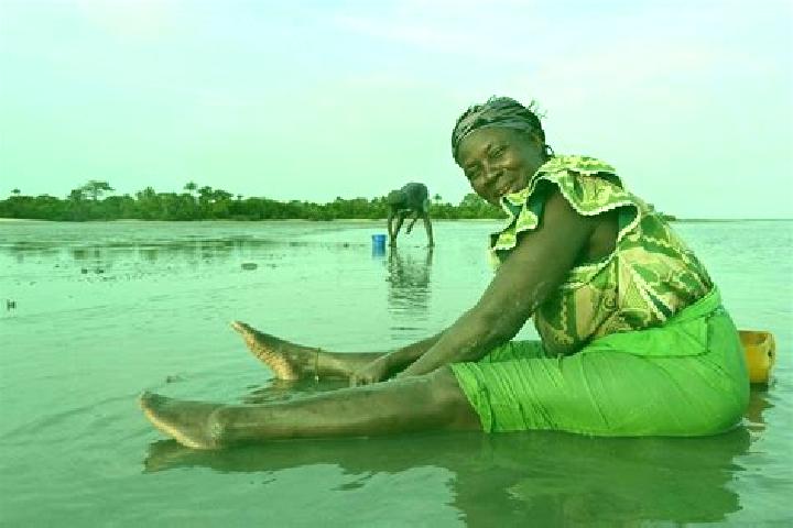 Escorts Jarreng, Gambia — Local Companions
