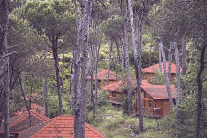 Escorts Jezzine, Lebanon — Local Companions