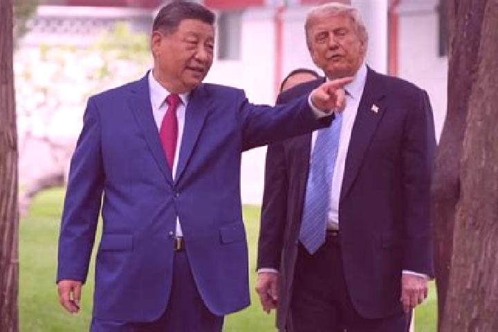 Escorts Jinping, China — Local Companions