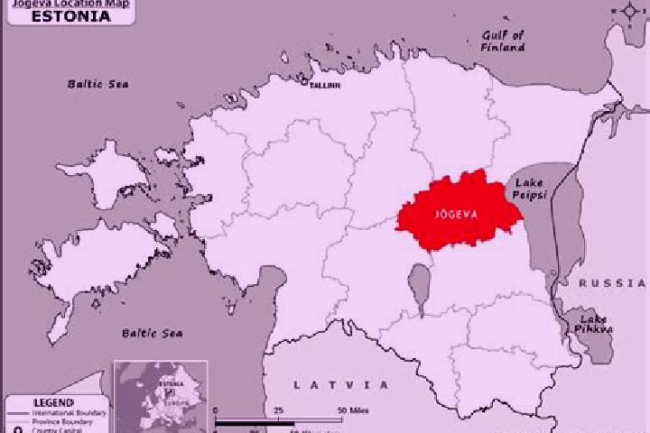 Escorts Jogeva, Estonia — Local Companions