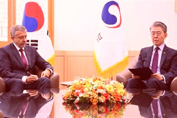 Escorts Juam, South Korea — Local Companions
