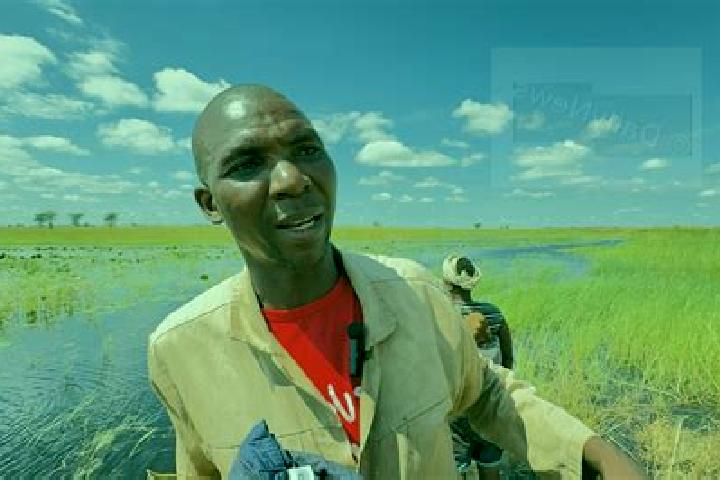 Escorts Kachikau, Botswana — Local Companions