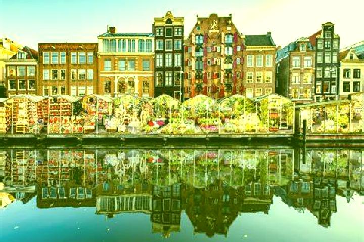 Escorts Kadoelen, Netherlands — Local Companions