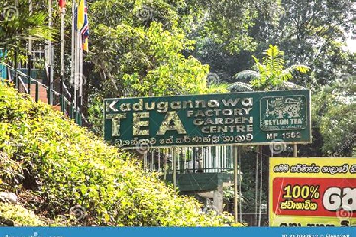 Escorts Kadugannawa, Sri Lanka — Local Companions