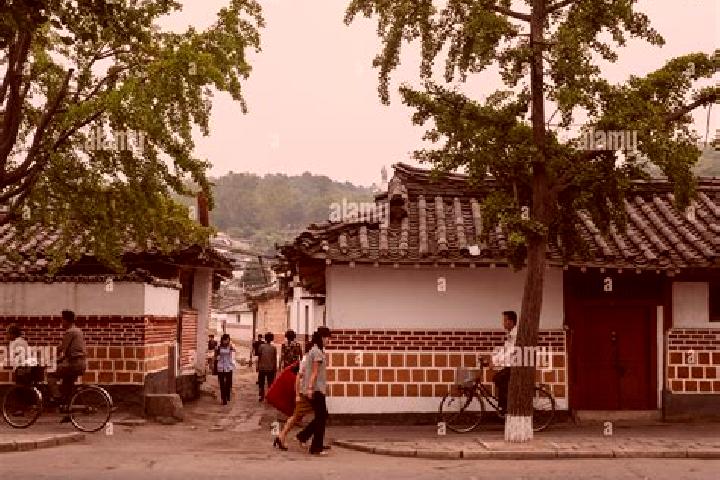 Escorts Kaesong, North Korea — Local Companions