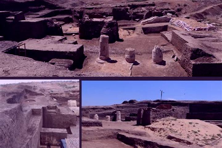 Escorts Kafr Shukr, Egypt — Local Companions