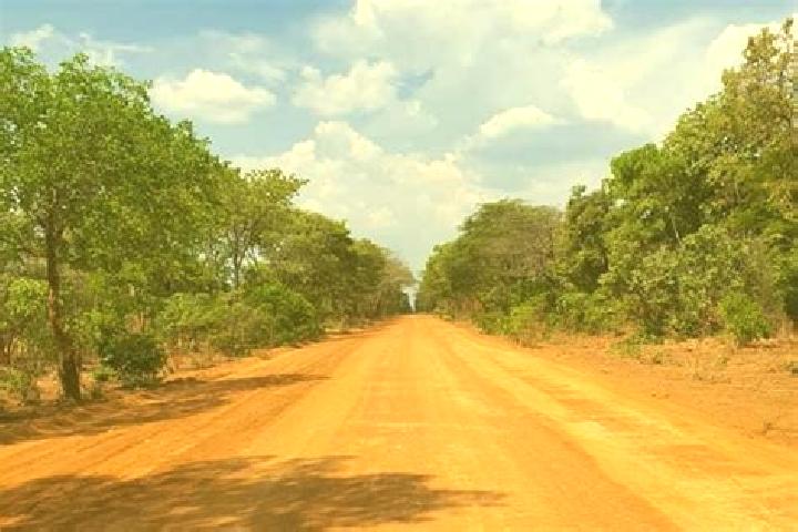 Escorts Kalengwa, Zambia — Local Companions
